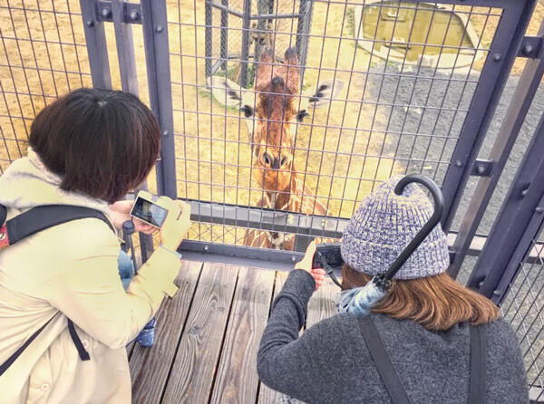 女性の撮影会「おさんぽソラリス〜カメラをもって京都市動物園へ行こう〜」