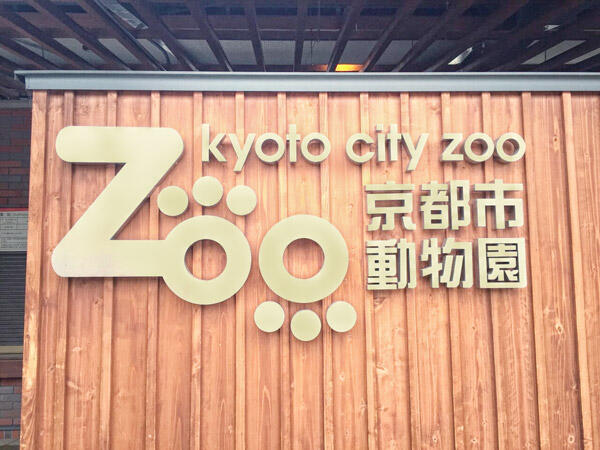女性の撮影会「おさんぽソラリス〜カメラをもって京都市動物園へ行こう〜」