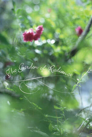 あべれいこ写真展"The Garden of Radiance" 11/13(金)-29(日)12-17時@ナナクモ/宇治 金、土、日、祝日open あべれいこ写真展"The Garden of Radiance" 11/13(金)-29(日)12-17時@ナナクモ/宇治 金、土、日、祝日open