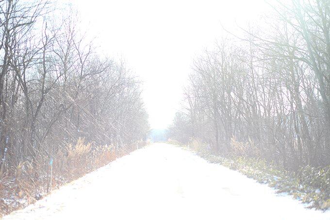 壹燈舎特別企画 宇野真由子写真展「root」