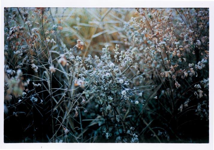 ソラリス企画展 野口優子 展「Winter」