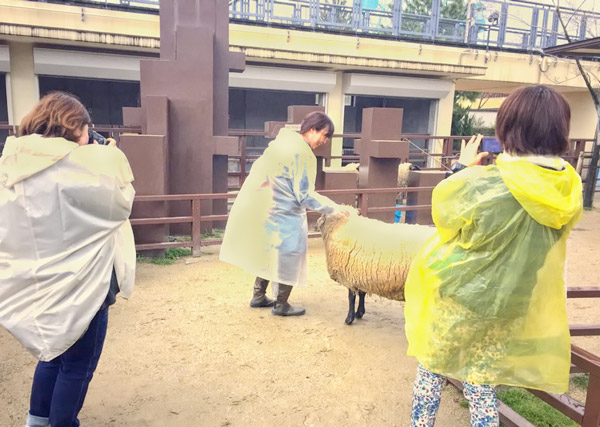 女性の撮影会「おさんぽソラリス〜カメラをもって京都市動物園へ行こう〜」