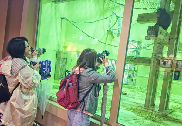女性の撮影会「おさんぽソラリス〜カメラをもって京都市動物園へ行こう〜」