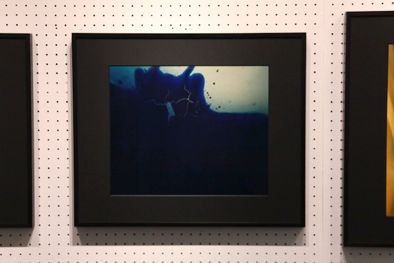 マサ子 写真展 「バックミラーからの警鐘」