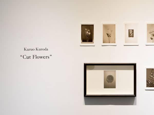 黒田和男 写真展「Cut flowers」