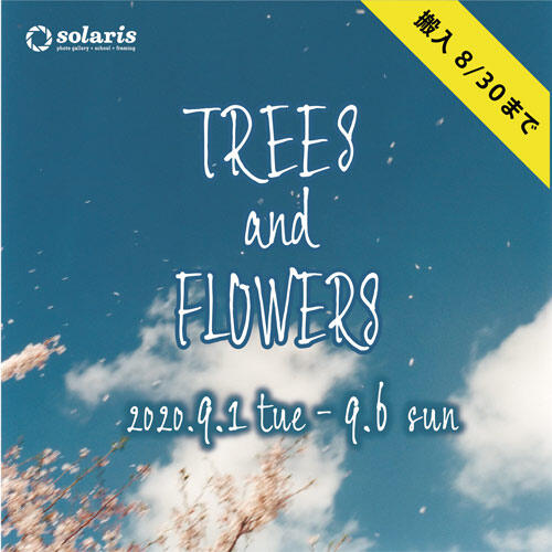 TREES and FLOWERS