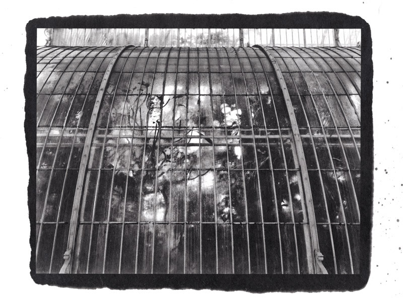 奥田基之 写真展 「存在の庭　- 温室のシリーズ -」