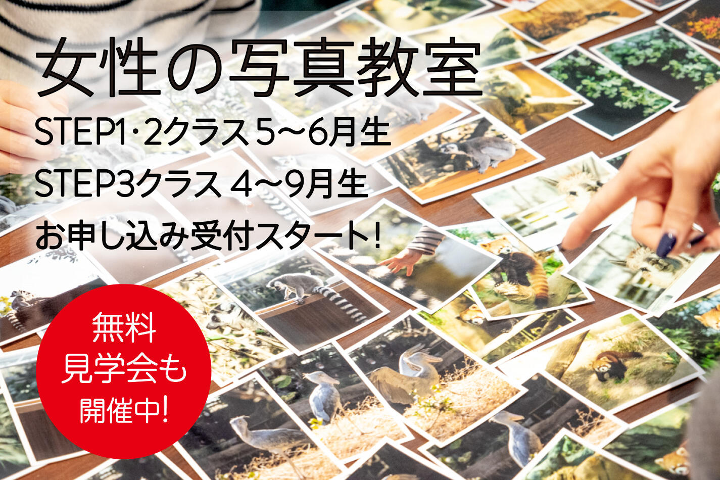 名称未設定-1