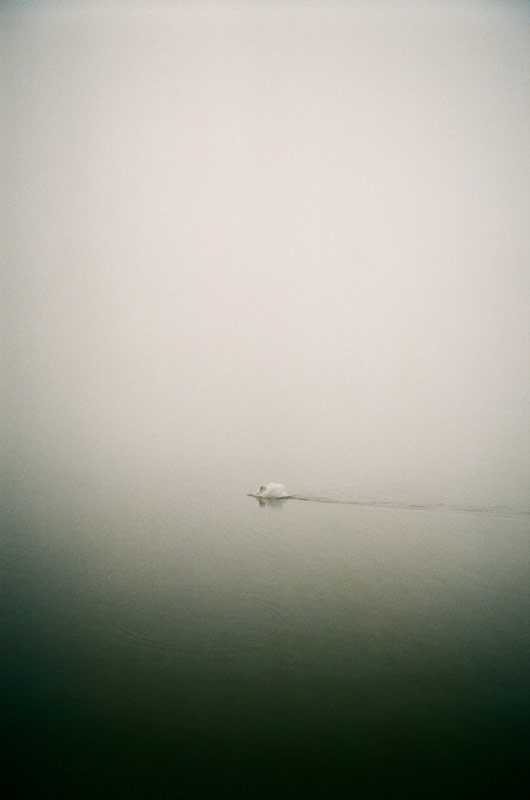 サチサユリ写真展「小説の面影」