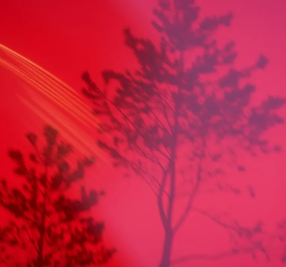 大和田良ゼミ・関西クラス 修了作品展「Glare」