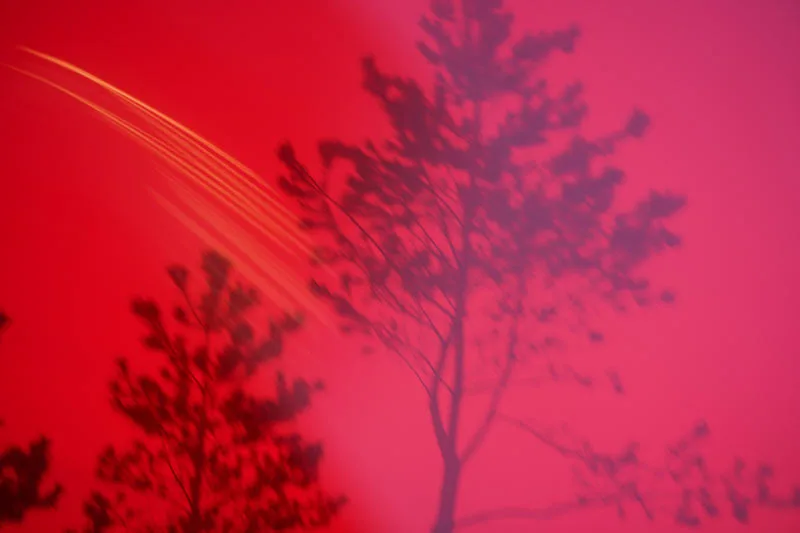 大和田良ゼミ・関西クラス 修了作品展「Glare」