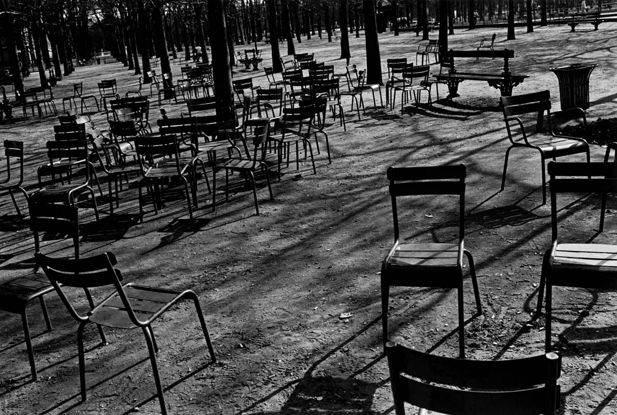 ギャラリーソラリス企画展 尾仲浩二 写真展 「Neko wa Neko 2 & Another The Dog in France」