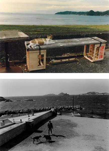 ギャラリーソラリス企画展 尾仲浩二 写真展 「Neko wa Neko 2 & Another The Dog in France」