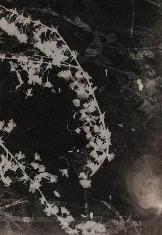 黒田和男 写真展「Solitude」